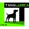 Tana Ludica Family Dog Club